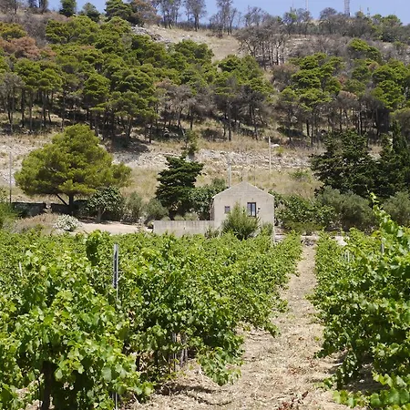 Casa Nel Vigneto Country house *