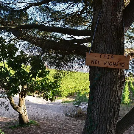 Casa Nel Vigneto *