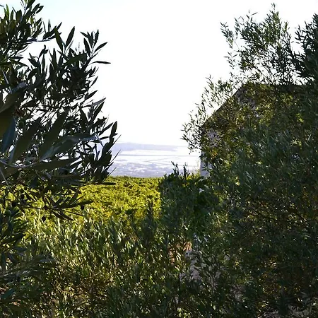 Casa Nel Vigneto