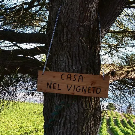 Casa Nel Vigneto