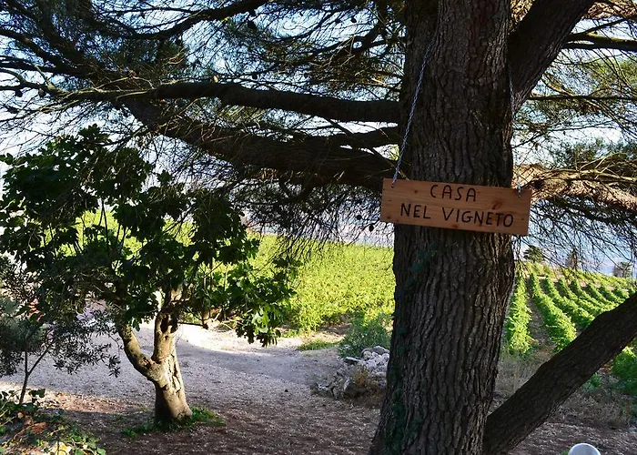 Casa Nel Vigneto *