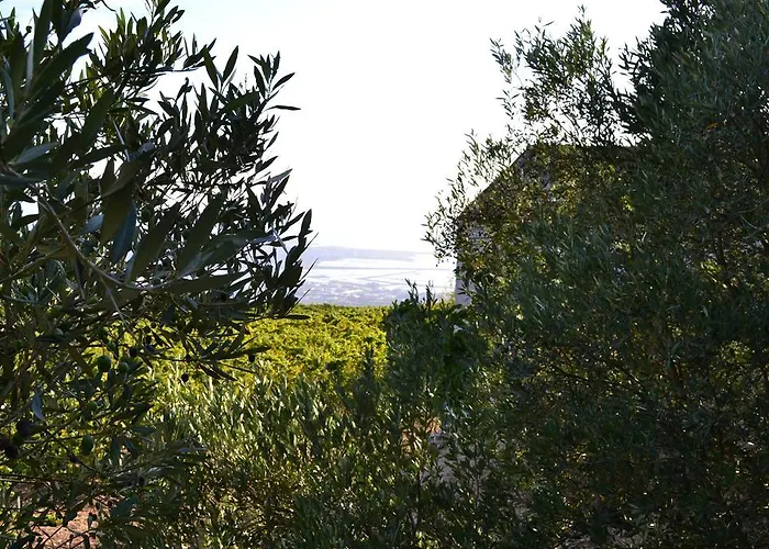 Casa Nel Vigneto