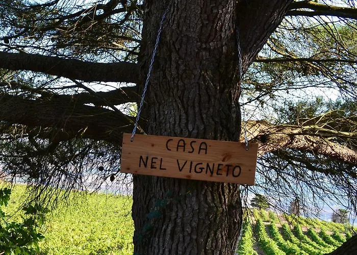 Casa Nel Vigneto